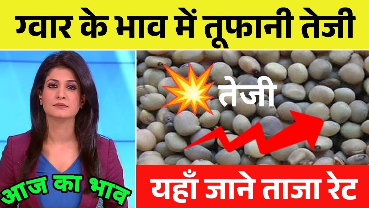 Guar Mandi Bhav Today