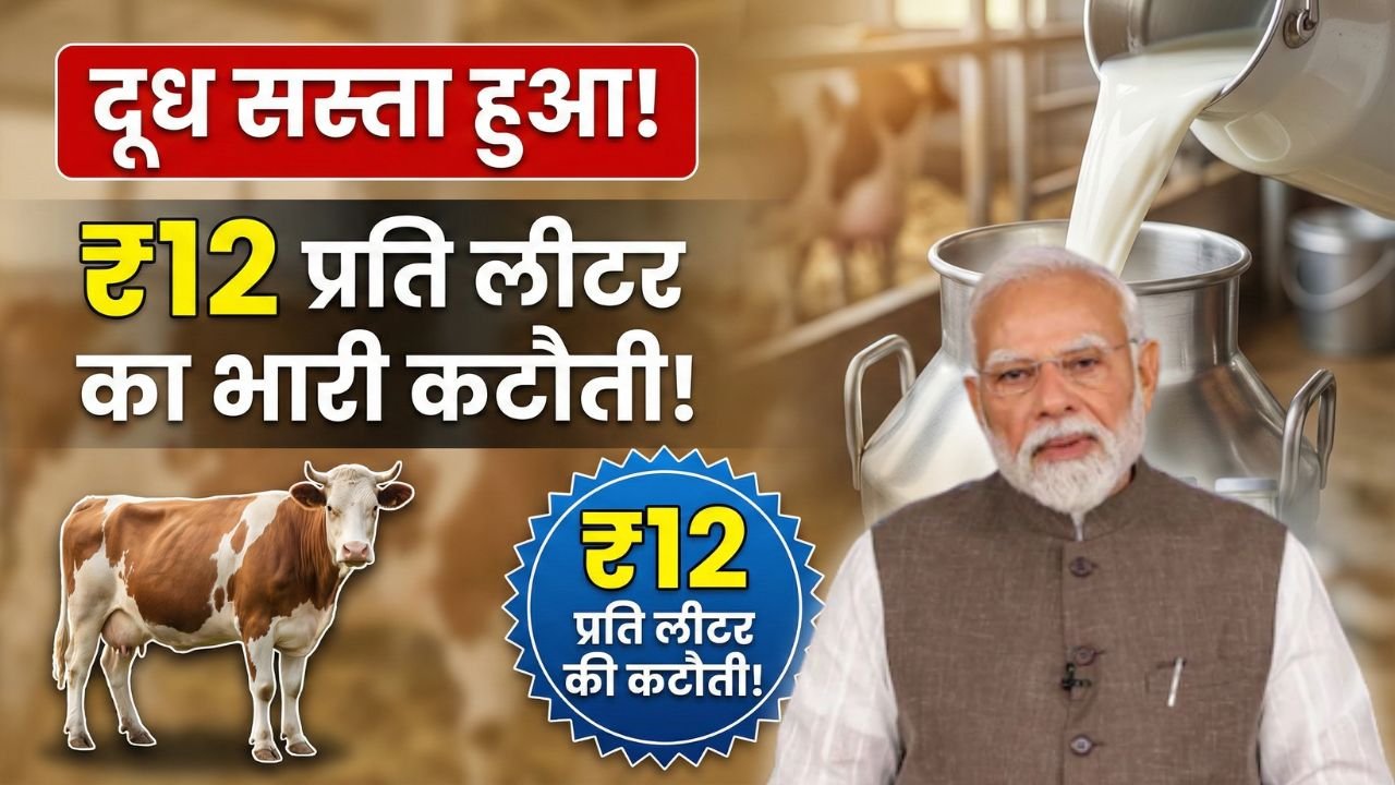 Milk Price New Update Today